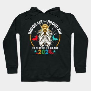 Cicada Tsunami Bugs Brood XIX Brood XIII 13 Year Of The Cicada 2024 Hoodie